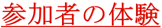 参加者の体験